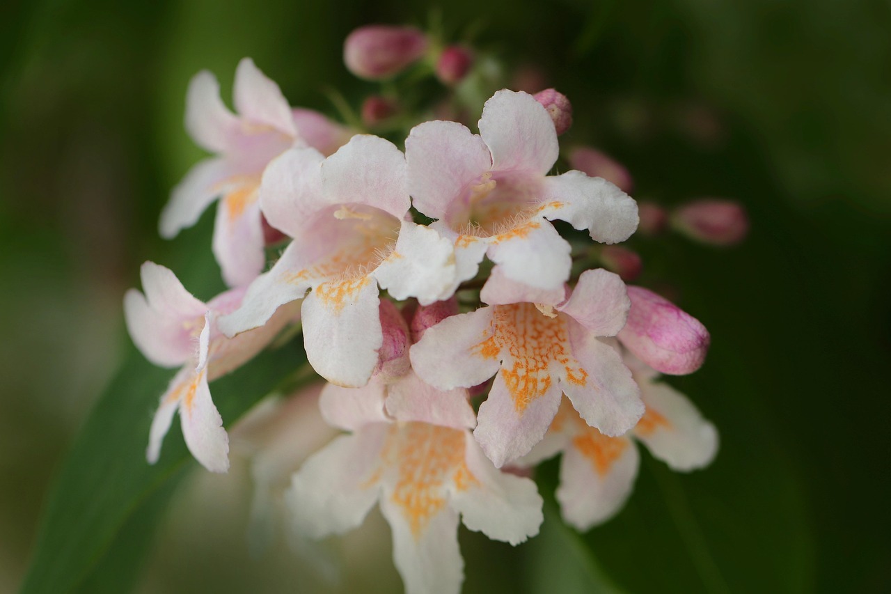 "Die Natur als Beispiel dafür, wie wir handlungsfähig sein können, wenn alles zunehmend unsicher ist."