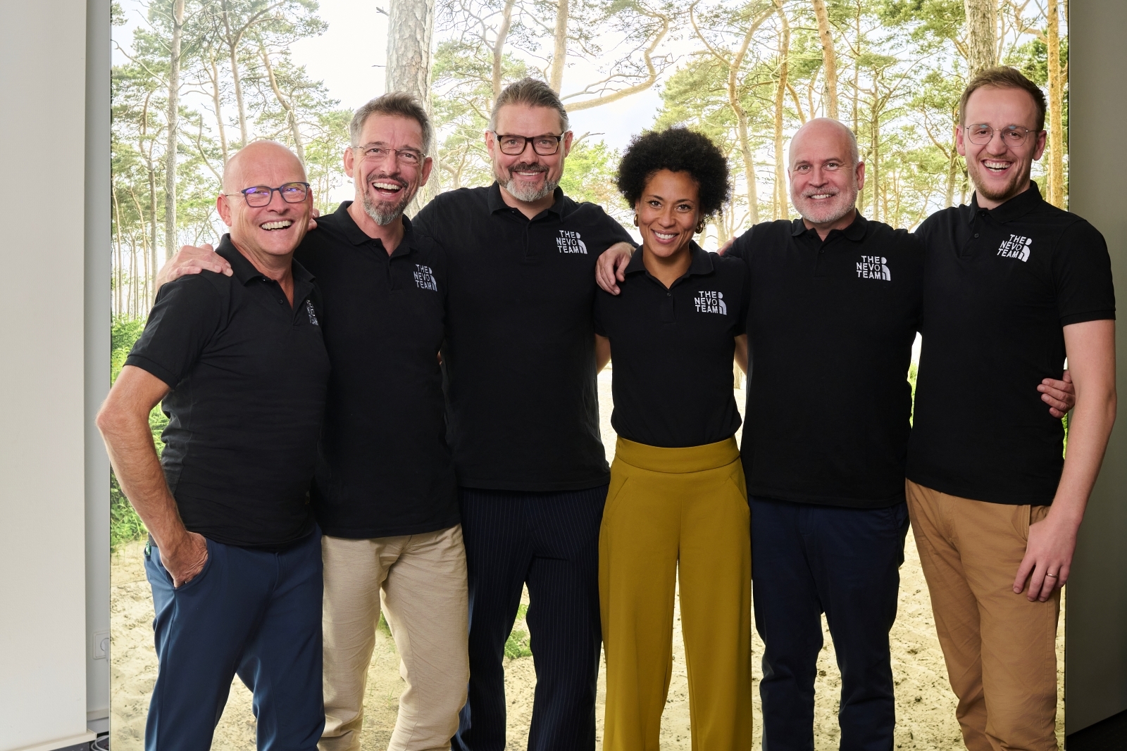 "nevo systemisches coaching beratung team"