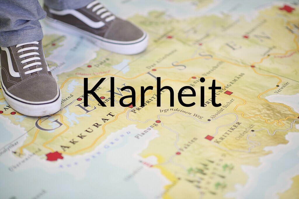 "nevo systemisches coaching MapsTell klarheit"